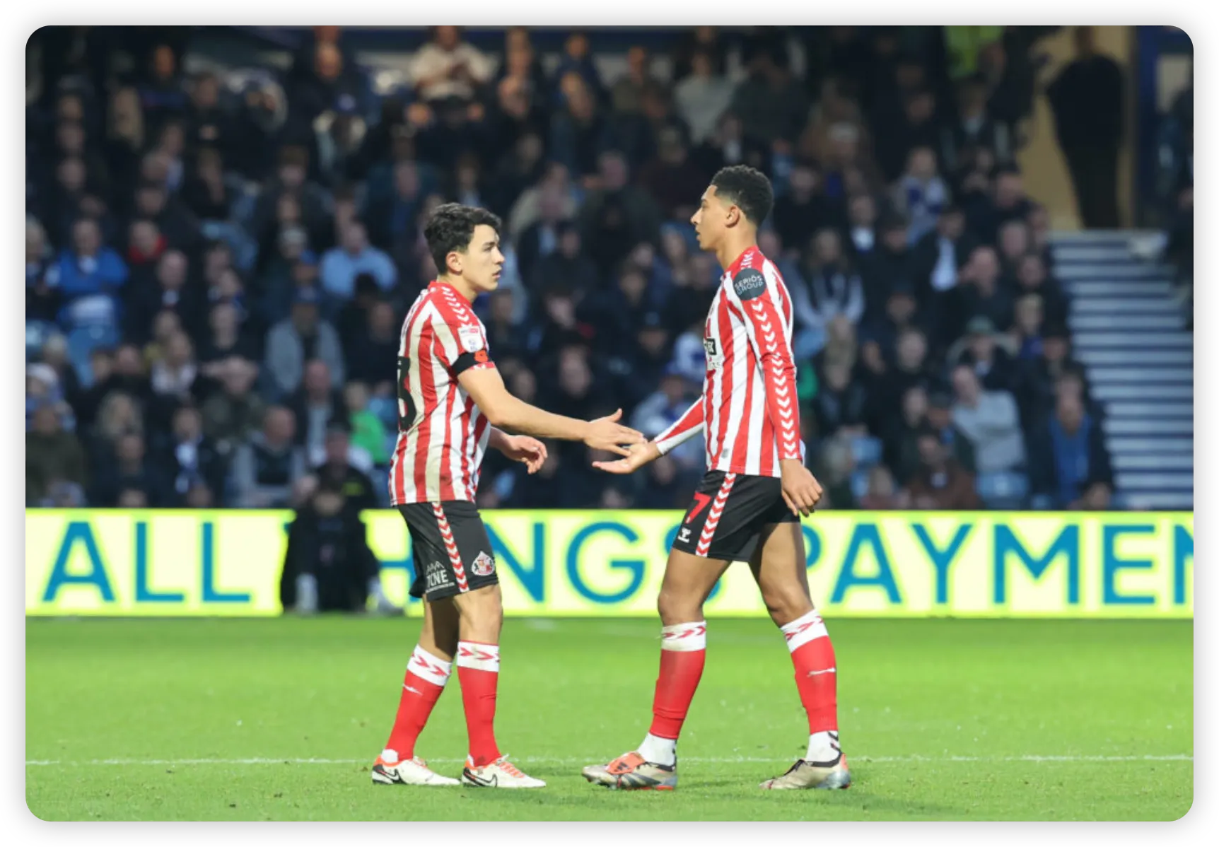 Manager Perspectives and Team Outlook