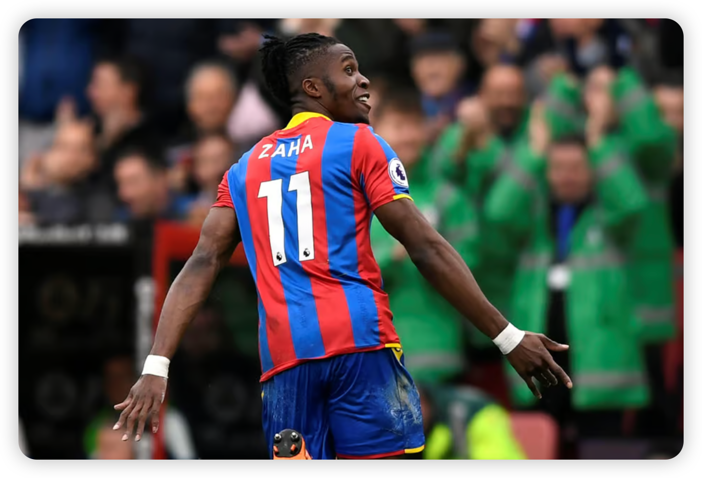 The Investigation and Its Findings