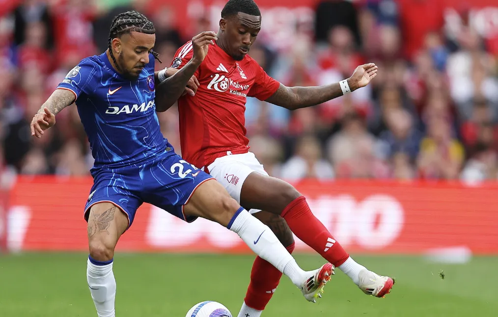 How Forest Outmaneuvered the Blues